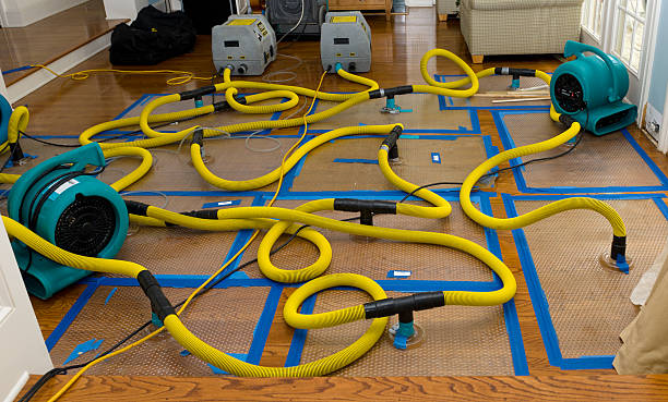 Professional Crawl Space Water Removal technician working in Riverside, IL